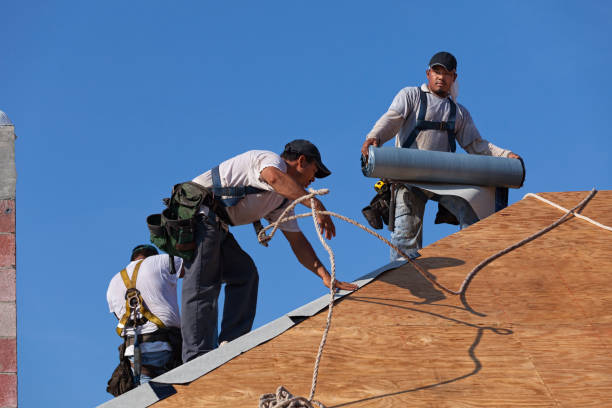 Roof Gutter Cleaning in Windcrest, TX